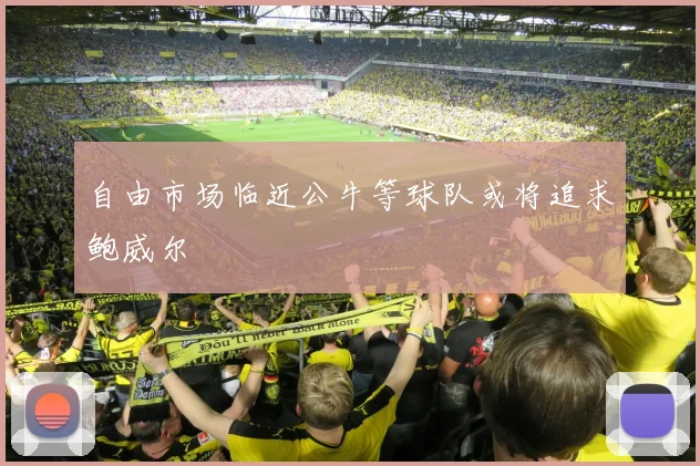 自由市场临近公牛等球队或将追求鲍威尔